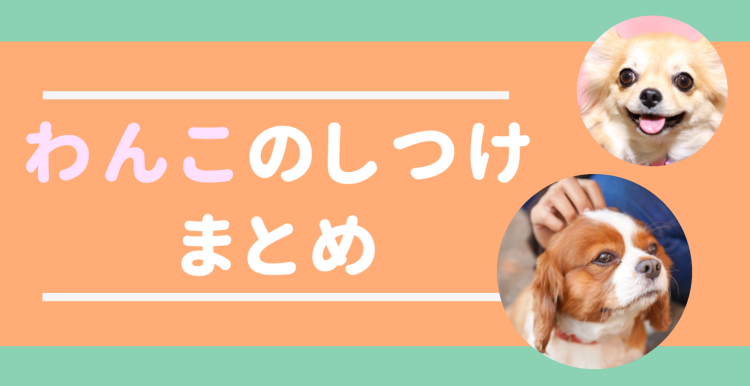 わんこのしつけ